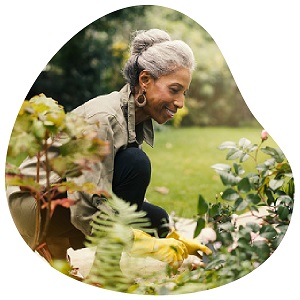 Preventiebudget Minima