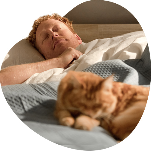 Slapende man met kat op bed