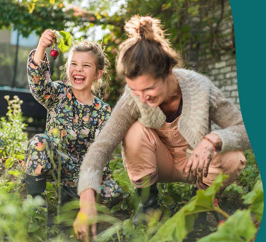 Afbeelding zonder ALT