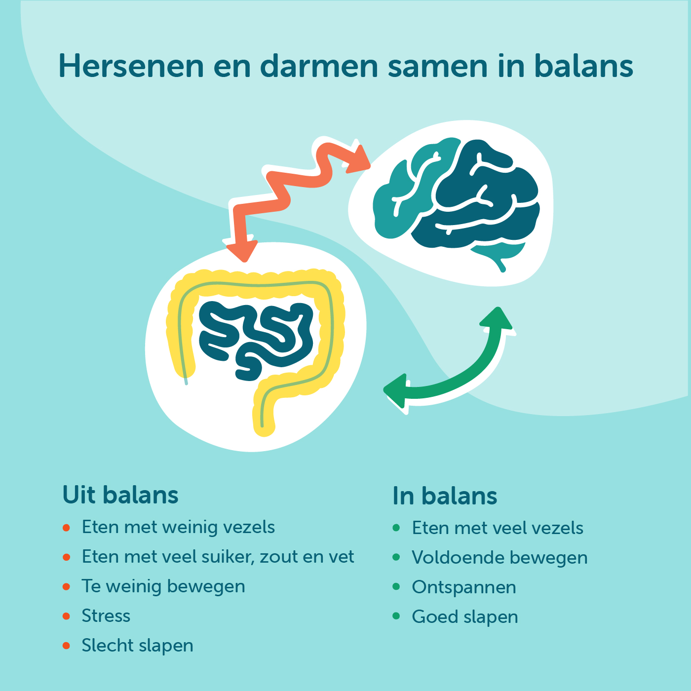 De afbeelding toont de verbinding tussen hersenen en de darmen, dei "hersen-darm as".