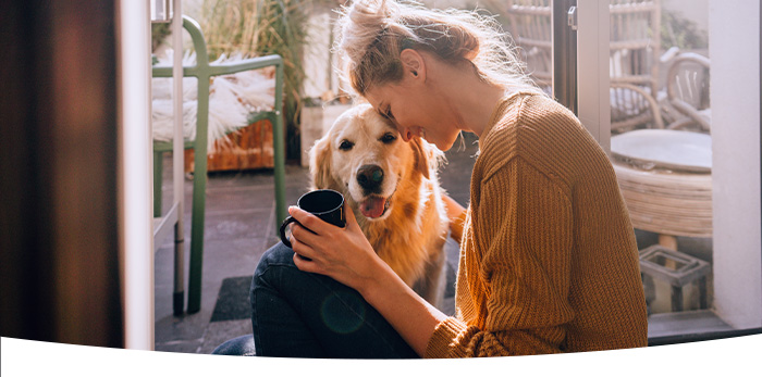 Afbeelding zonder ALT