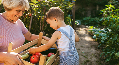 Tag -  Ondervoeding en de gevolgen