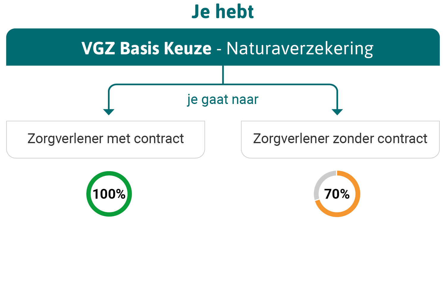infographic VGZ Basis Keuze Naturaverzekering