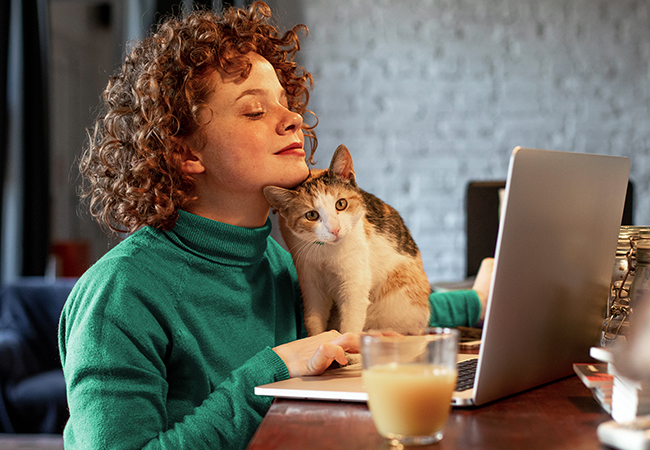 Vrouw werkt achter laptop en de kat loopt over het toetsenbord